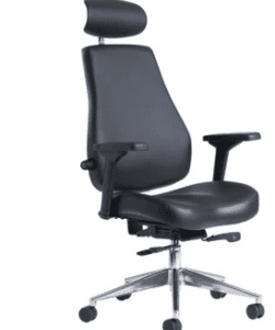 New Franklyn 24HR  Executive Chair