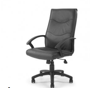 New Swithlan Executive Chair