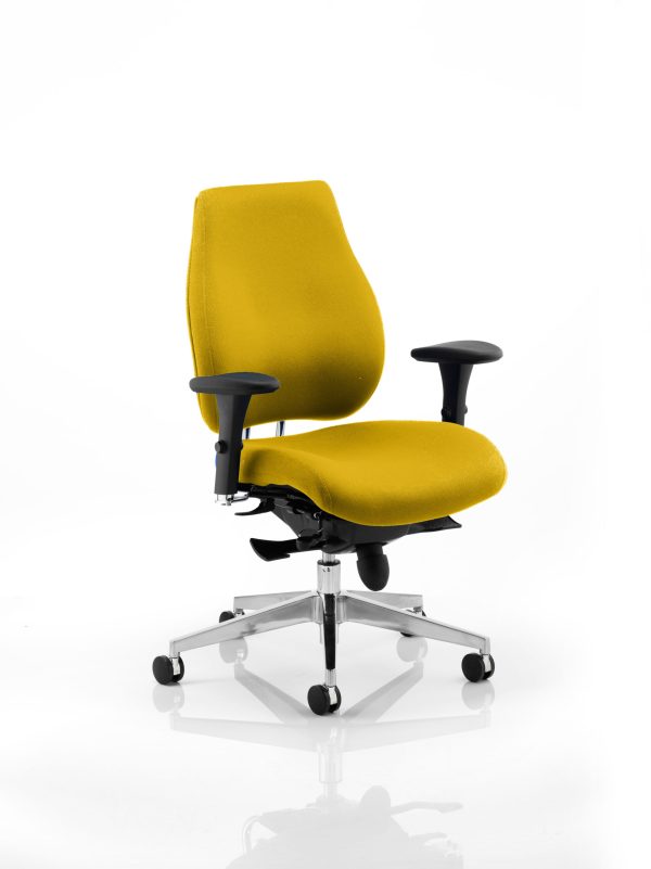 Chiro Plus High Back Ergonomic Posture Chair with Arms - Image 11