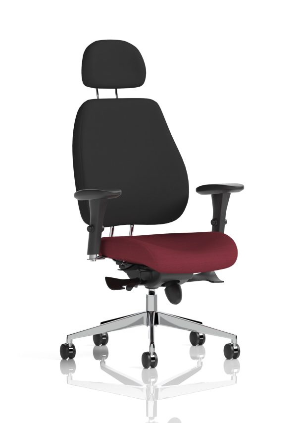 Chiro Plus High Back Ergonomic Posture Chair with Arms - Image 32