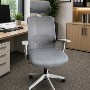 Fast Track :  Gismo Executive Mesh Back Office Chair